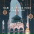 Maulana Salim Vadinar