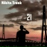 Nikita Treek
