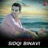 Sidqi Binavi