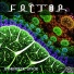 Factor