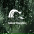Silent Knights
