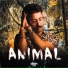 cristobal paya, fahcustik