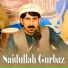 Saidullah Gurbaz