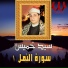 El Sheikh Sayed Khames