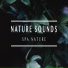 Nature Sounds