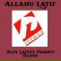 Alfa Lateef Fagbayi Oloto