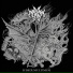 Ad Mortem