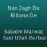 Saleem Marwat feat. Said Ullah Gurbaz