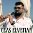 Sedan Video feat. florin salam