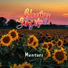 Bloomy Sunset