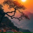 陈雅汐