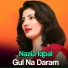 Nazia Iqbal