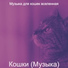 Музыка для кошек вселенная
