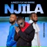 Luwizzy feat. HD Empire