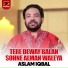 Aslam Iqbal