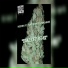 Hoover J feat. Young Sparkez, Yung James