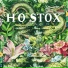 Hostox