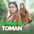 Dj Friska AD