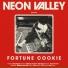Neon Valley