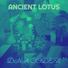 DNA Codex