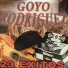 Goyo Rodríguez