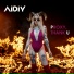 AIDIY