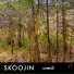 Skoojin