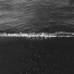 Exitvision