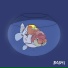 Boshi