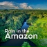 Rainforest Sounds