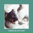 Relaxing Dog Music