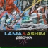 LAMA&ASHIM