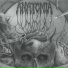 Anatomia