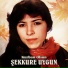 Şekkure Uygun