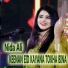 Nida Ali