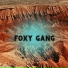 Foxy Gang