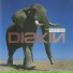 The Drum