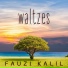 Fauzi Kalil