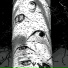 vernost