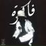 Flash28