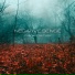 negative.sense