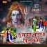Krishan Chauhan, Sheenam Katholic