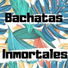 Raul Bachatas