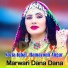 Nazia Iqbal, Hamayoun Angar