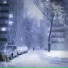 DEVNZR