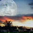 Joe Moghrabi