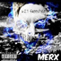 MerX