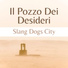Slang Dogs City