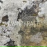 AVANTKRAFT