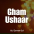 Gul Zaman Gul